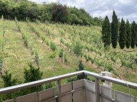 Hauptbild ImmobilienPunkt*** Schicke 3-Zimmer-Wohnung mit Blick in die Weinberge!